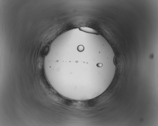 X0000115760125200911271125