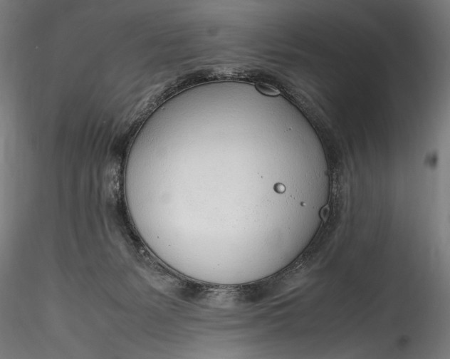 X0000115760127200911271125