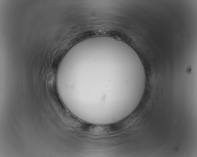 X0000115760129200911271125