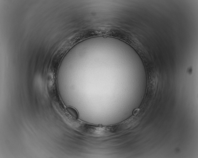 X0000115760130200911271125