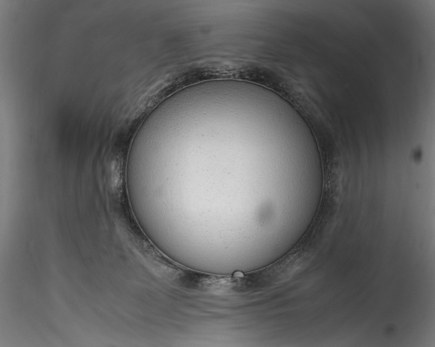 X0000115760131200911271125