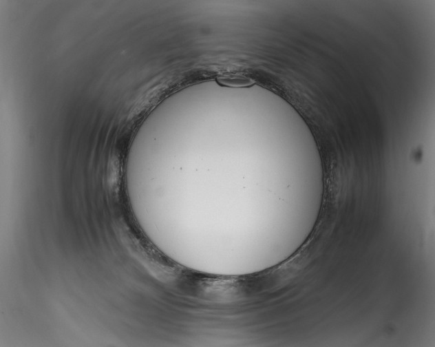 X0000115760132200911271125