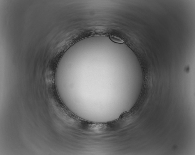 X0000115760135200911271125