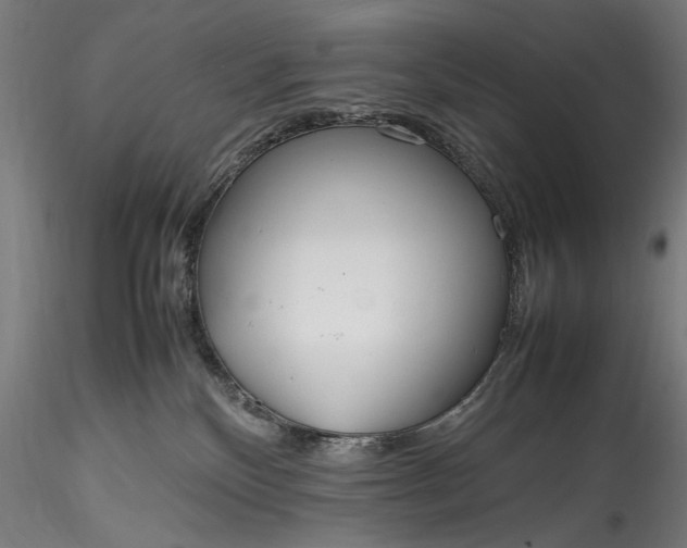 X0000115760136200911271125