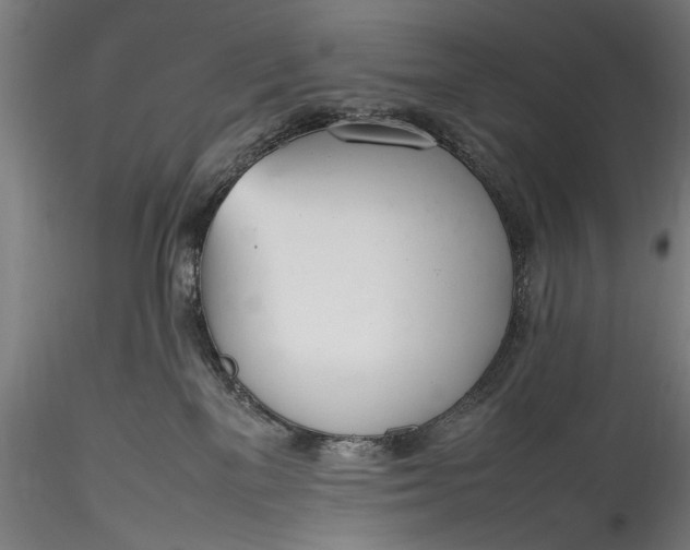 X0000115760137200911271125