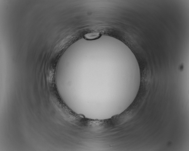 X0000115760139200911271125