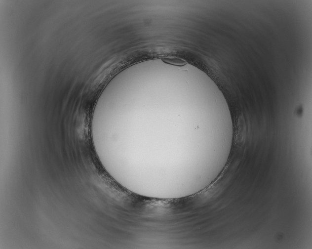 X0000115760140200911271125