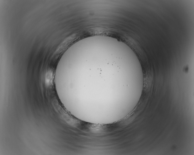 X0000115760142200911271125