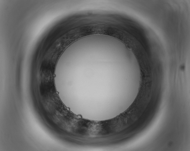 X0000115760143200911271125