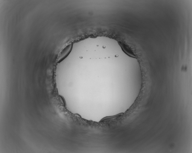 X0000115760144200911271125