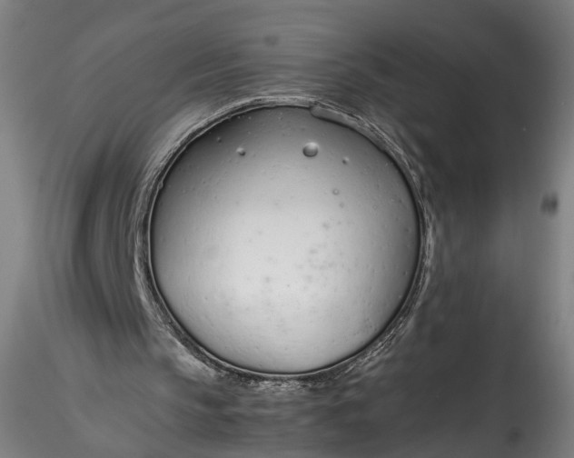 X0000115760145200911271124