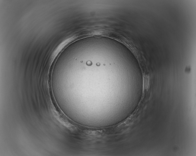 X0000115760147200911271124