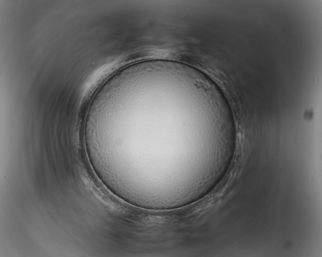 X0000115760149200911271124