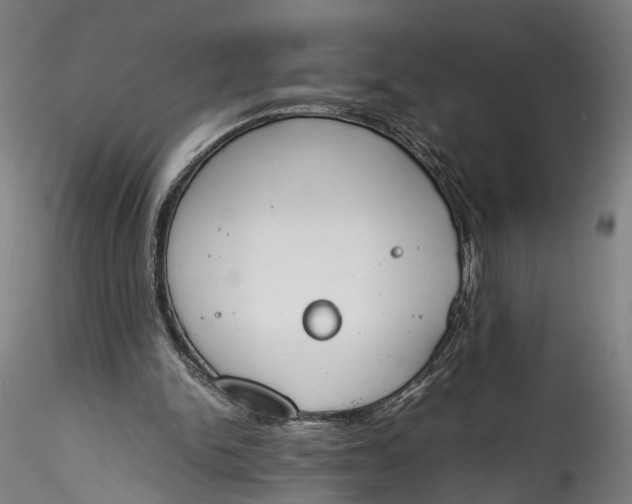 X0000115760150200911271124