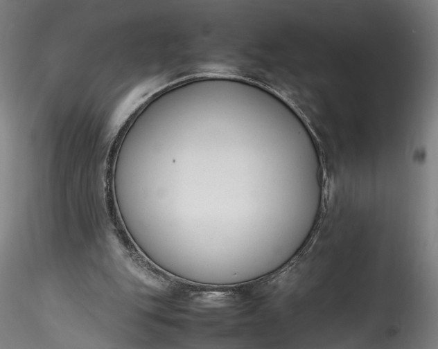 X0000115760151200911271124