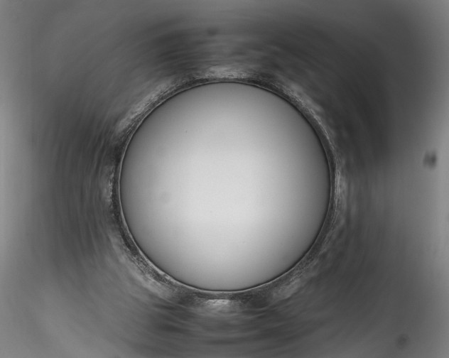 X0000115760153200911271124