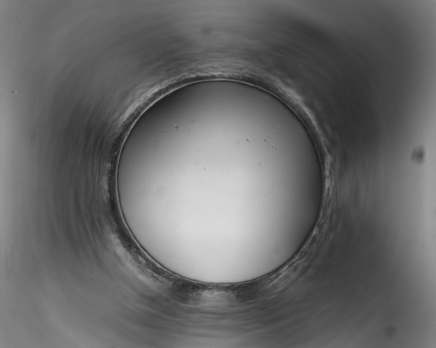 X0000115760154200911271124