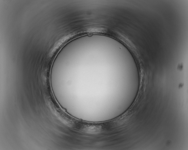 X0000115760155200911271124