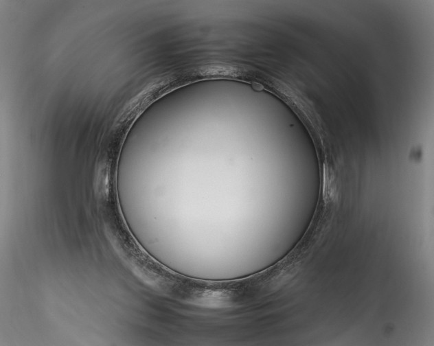 X0000115760157200911271124