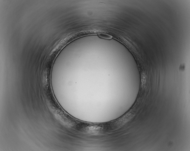 X0000115760158200911271124