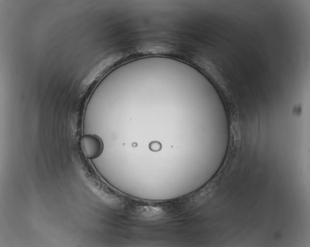 X0000115760159200911271124