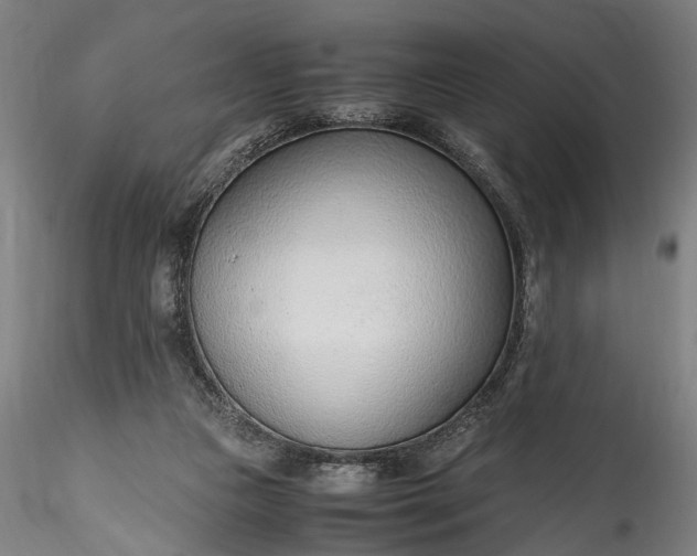 X0000115760161200911271124