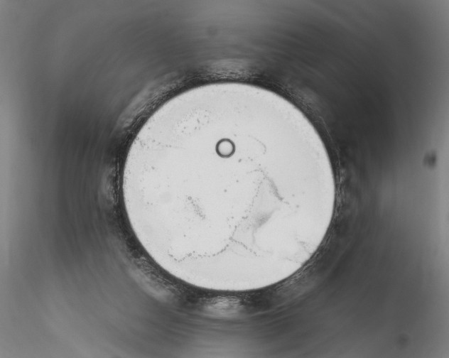 X0000115760162200911271124