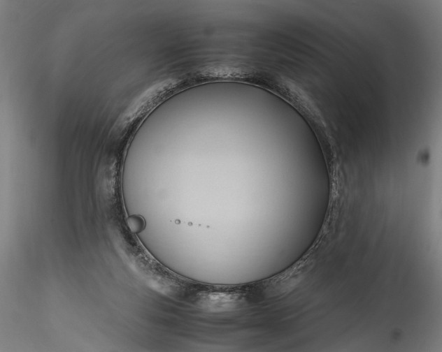 X0000115760163200911271124