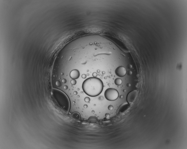 X0000115760167200911271125