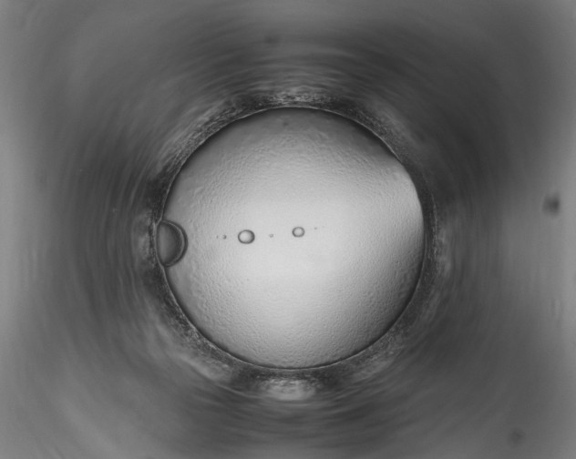 X0000115760169200911271125