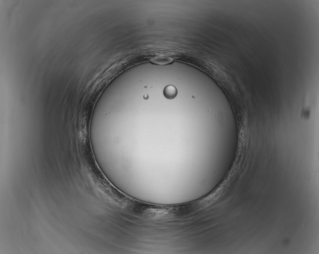 X0000115760170200911271125