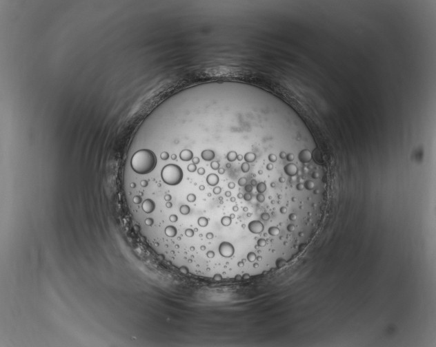 X0000115760171200911271125