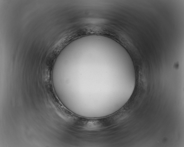 X0000115760173200911271125