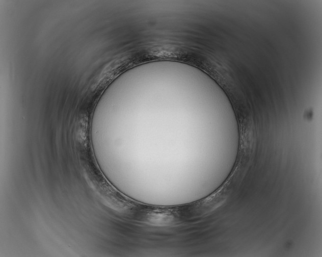 X0000115760175200911271125