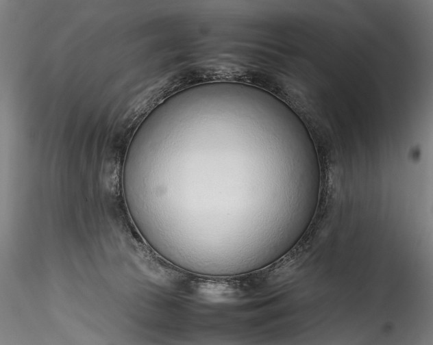 X0000115760177200911271125