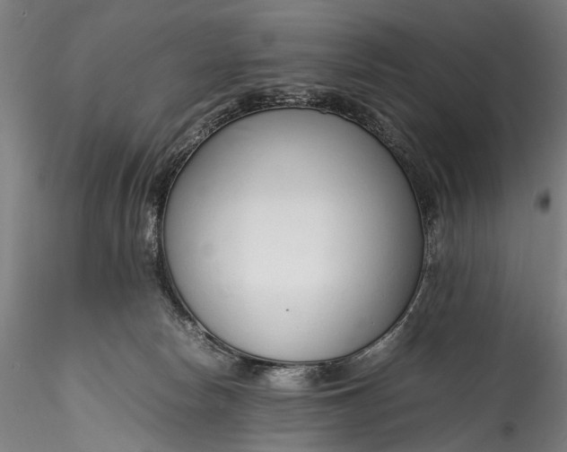 X0000115760178200911271125