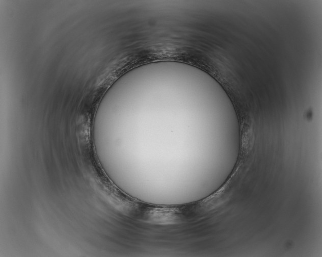 X0000115760179200911271125