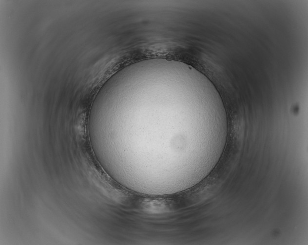 X0000115760181200911271125