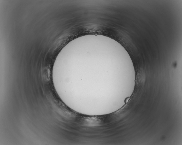 X0000115760183200911271125