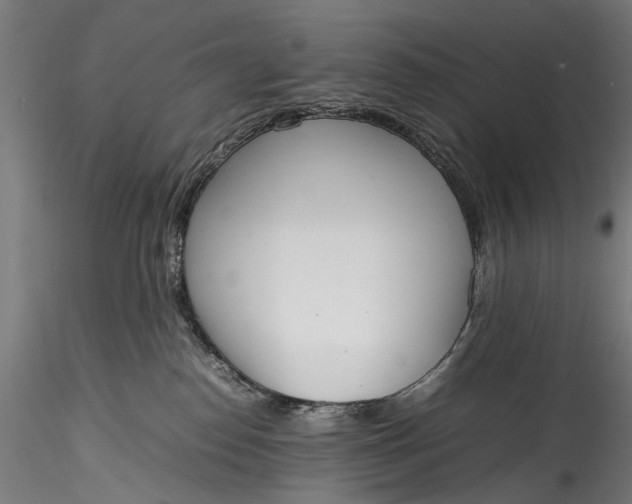 X0000115760186200911271125