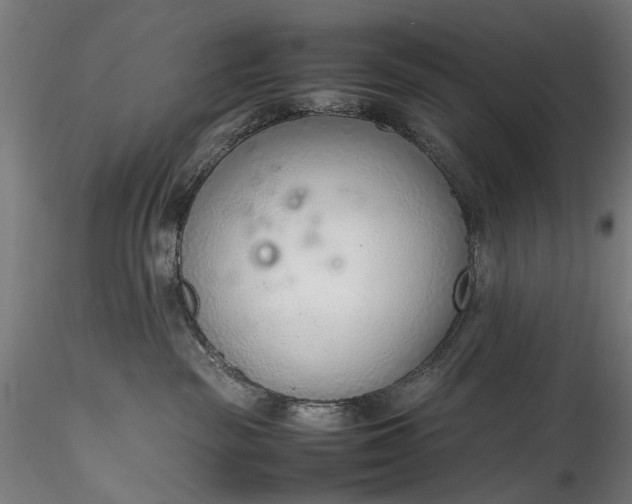 X0000115760189200911271125