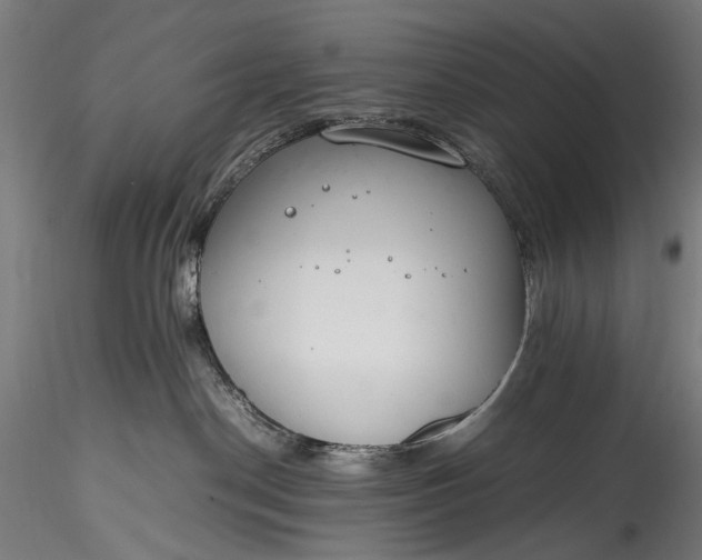 X0000115760190200911271125