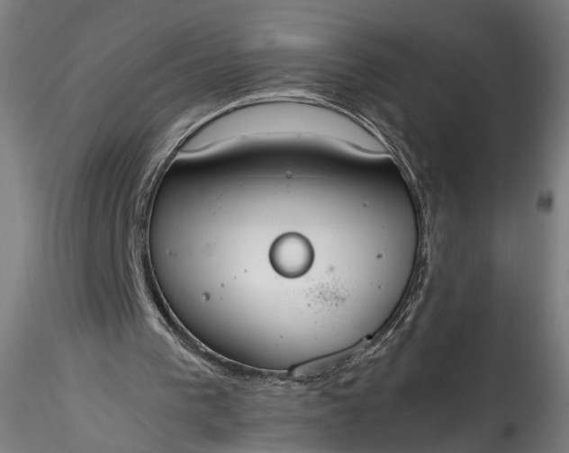 X0000115760193200911271124