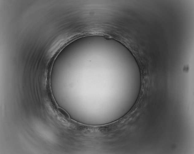 X0000115760194200911271124