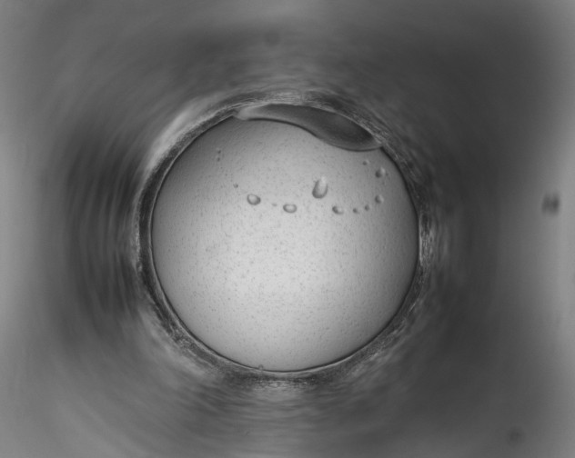 X0000115760198200911271124