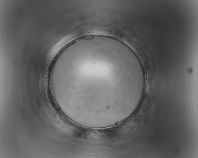 X0000115760199200911271124