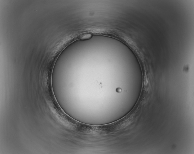 X0000115760201200911271124