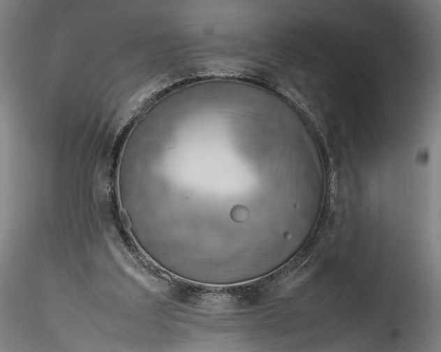 X0000115760203200911271124