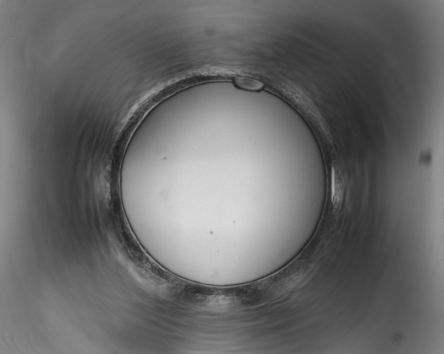 X0000115760204200911271124