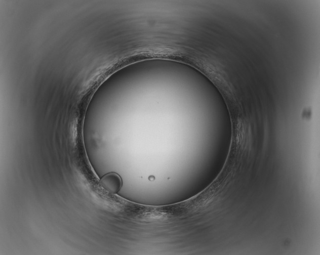 X0000115760206200911271124